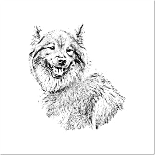 Eurasier - Line Art Posters and Art